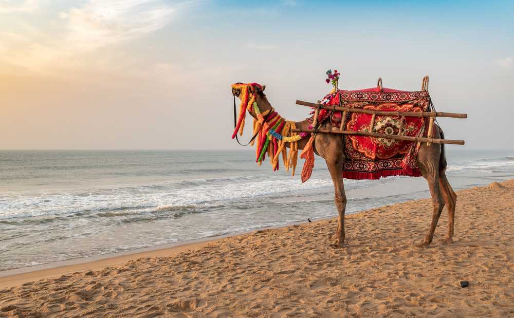 Gopalpur-on-Sea