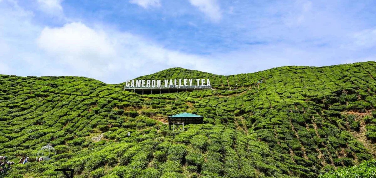 Cameron Highlands