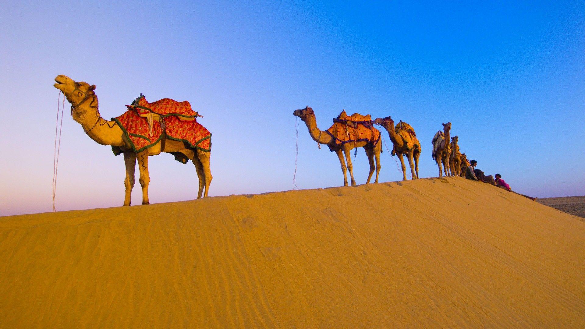 Rajasthan